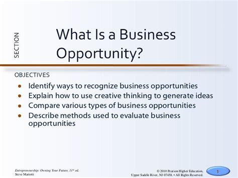 business opportunity definition.